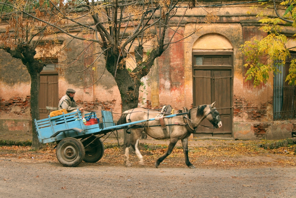 "el carro" de Ricardo Clodomiro Torres