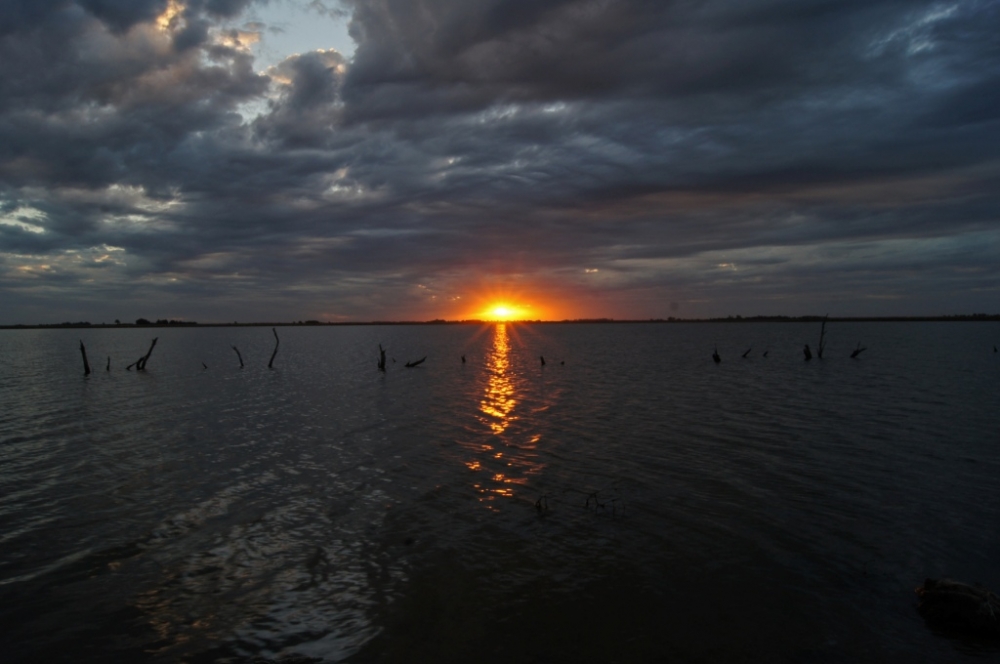 "Fros Atardeceres" de Diego Bertaina