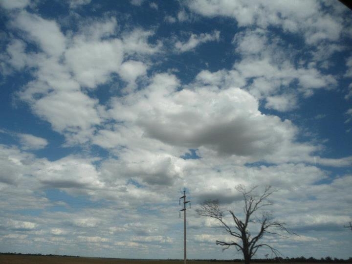 "Nubes viajeras" de Maria de Los Angeles Tellez Muoz