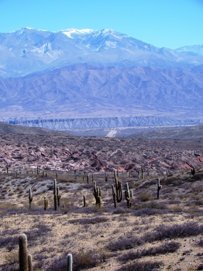 "Parque Nacional Los Cardones" de Victor Fontana