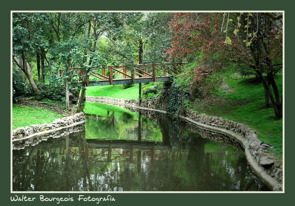 "Reflejos..." de Walter Bourgeois