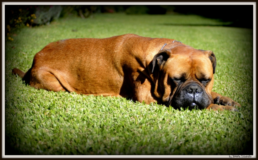 "Una siesta al sol" de Xime Cesaratto Errea