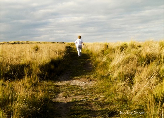 "En el camino" de Noelia Orrico