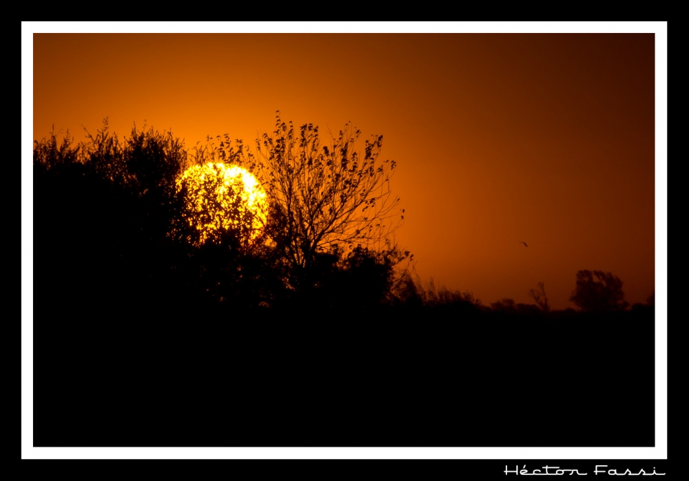 "Atardecer Campero" de Hctor Fassi