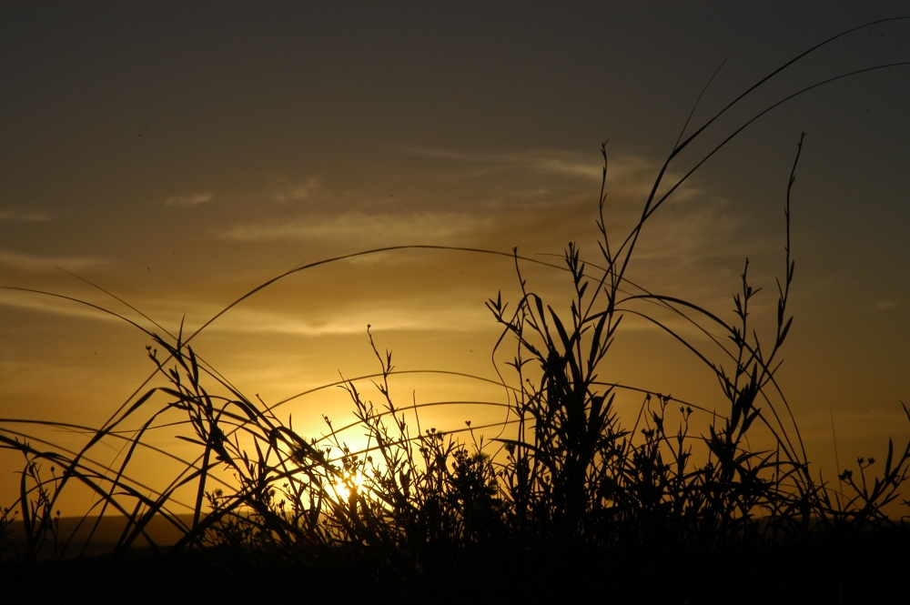 "Dorado atardecer" de Hugo Fabian Castelli