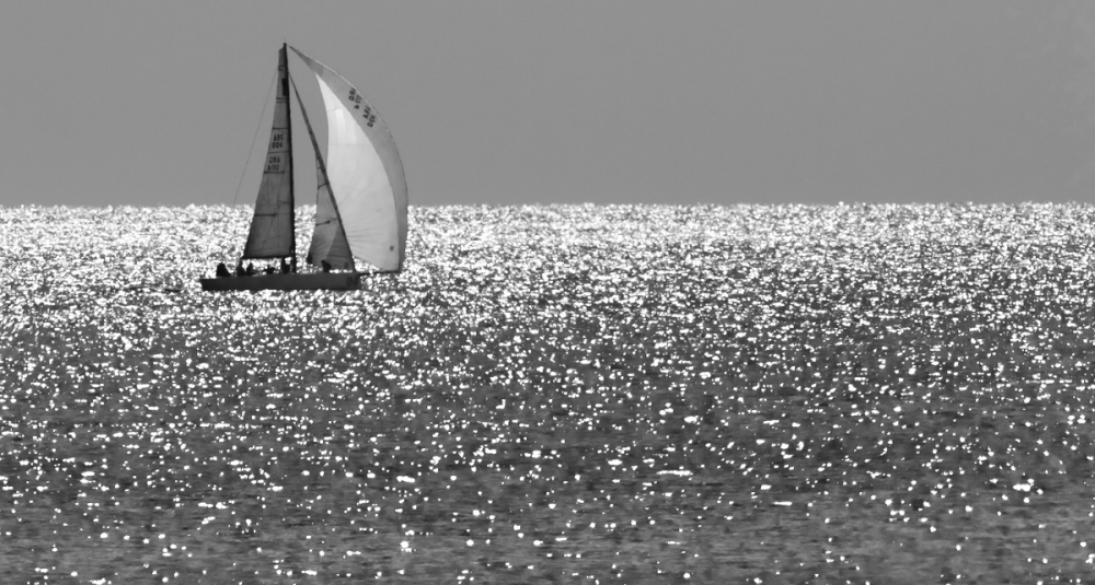 "Rio de la Plata" de Edith Polverini