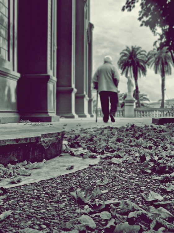 "Un paseo otoal" de Silvia Chamorro