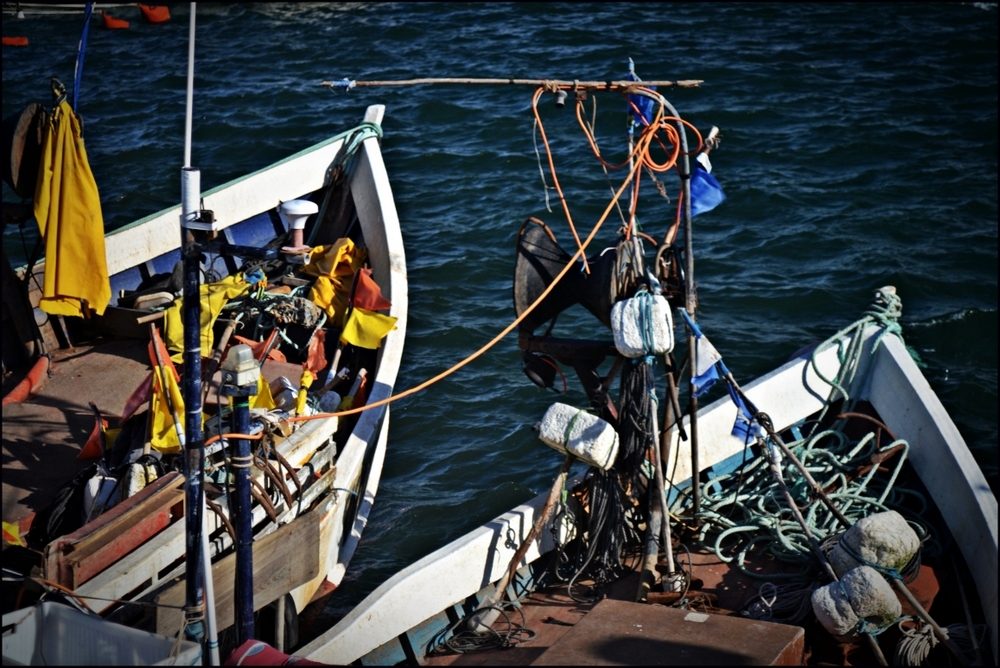 "De botes, mar y trabajo duro" de Sylvia Sabatini