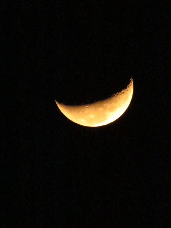 "la luna" de Gabriela Matkovich