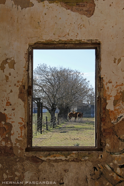 "San Antonio de Areco" de Hernn Pascarosa