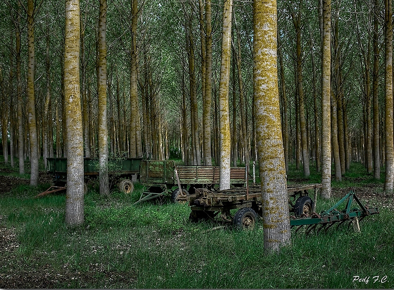 "Abandonados" de Pedro Fierro C Photography