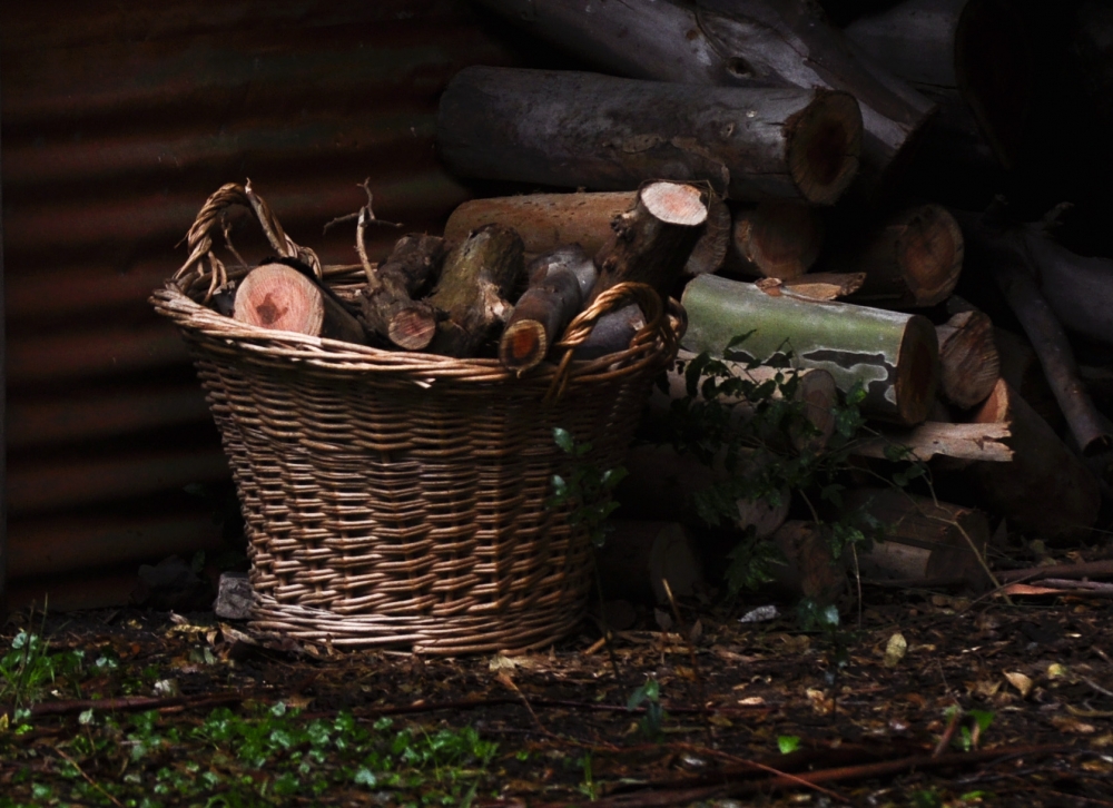 "Lea del arbol cado" de Enrique Handelsman