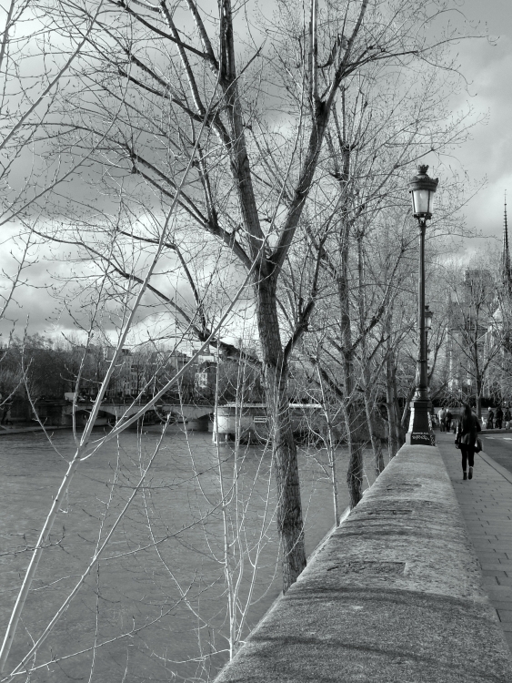 "Invierno" de Alejandra Ruiz de Mendarozqueta