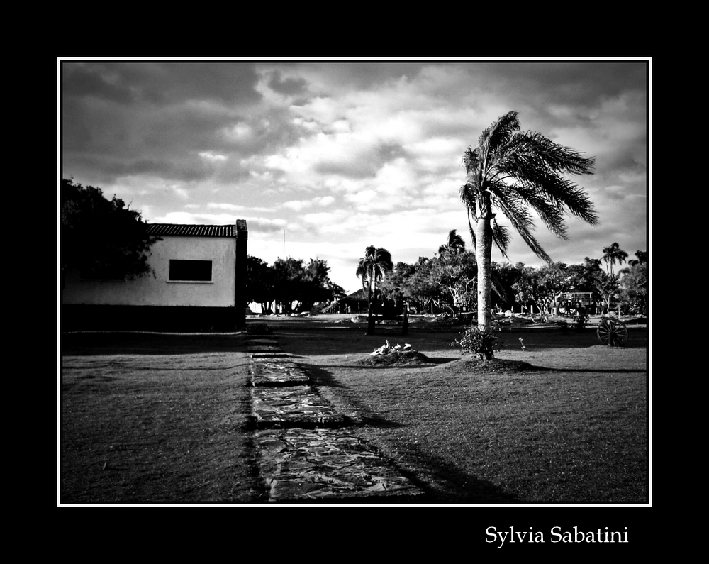 "Cabellera al viento" de Sylvia Sabatini