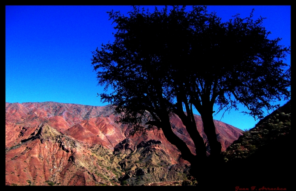 "Valles Calchaquies" de Juan Francisco Arrachea