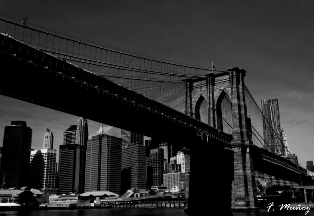 "Puente de Brooklyng" de Fernando Muoz