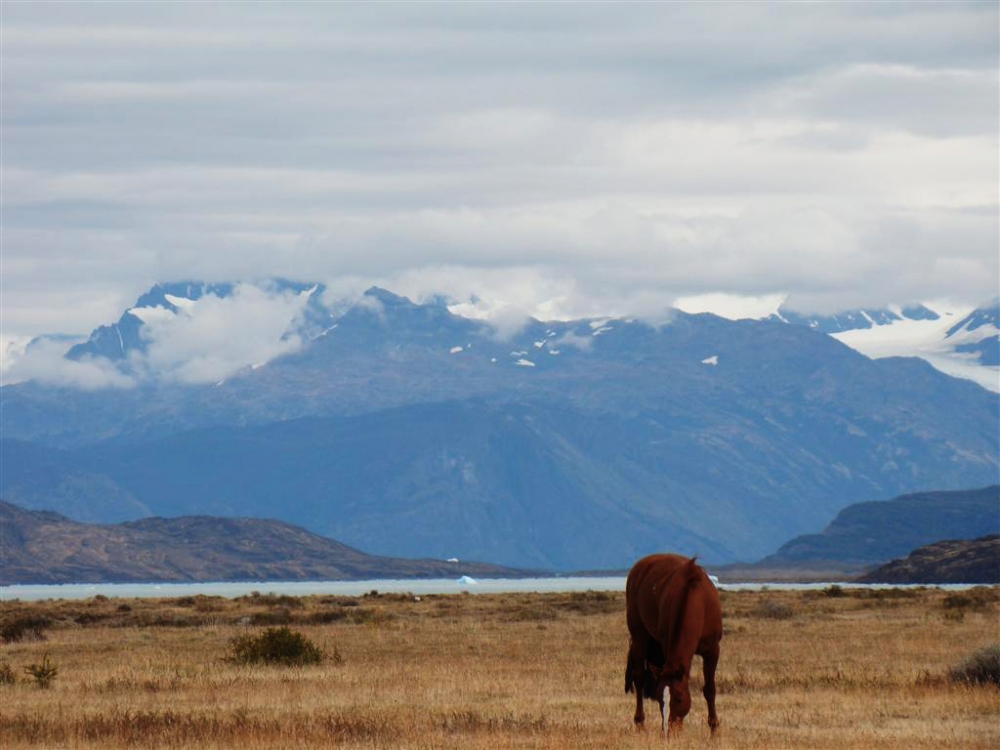 "Entre la Tierra y el Cielo........" de Claudio J. Passarotto