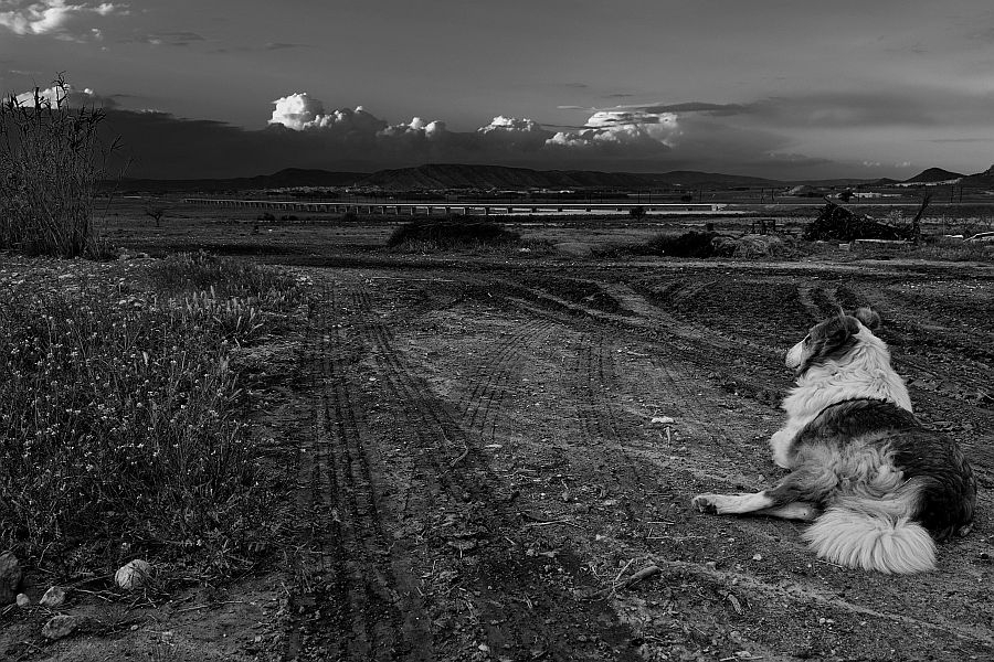 "La espera" de Francisco Jos Cerd Ortiz