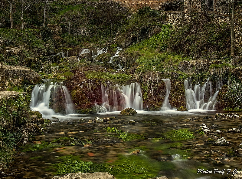 "Nacimiento" de Pedro Fierro C Photography