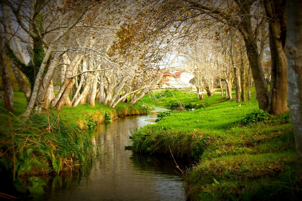 "El sendero del arroyo." de Roberto Velazquez