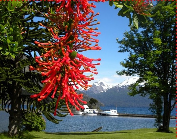 "bariloche" de Luisamaria Amador