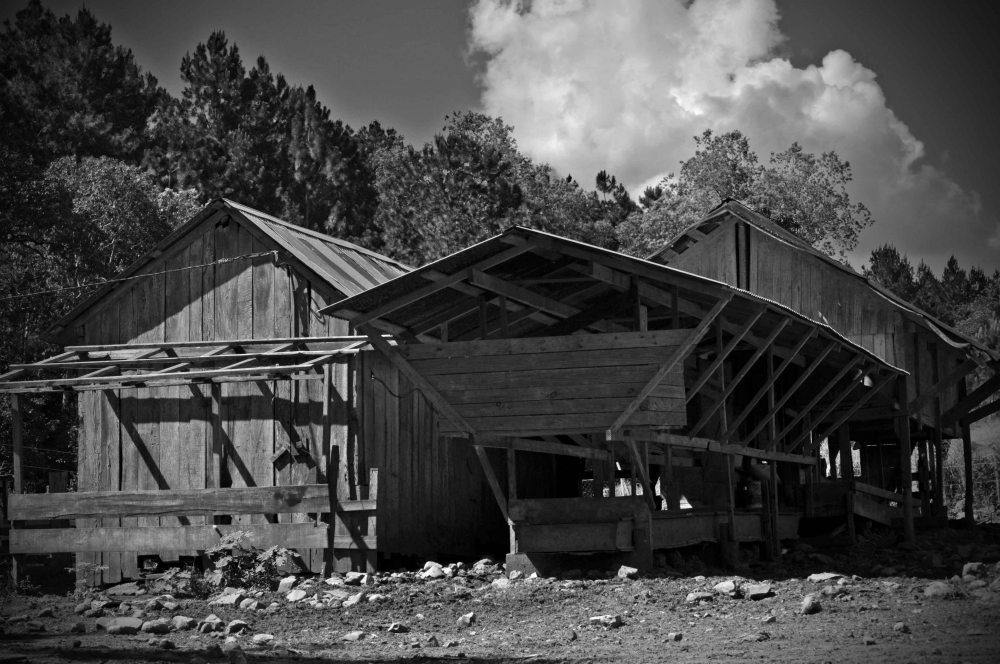 "El Corral" de Ricky Kimmich