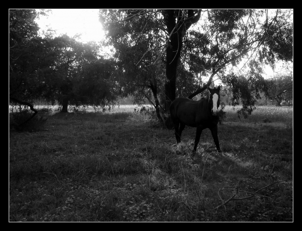 "Me tomas una foto ....." de Silvia Olliari