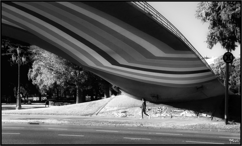 "Entre lineas" de Mirta Steinberg