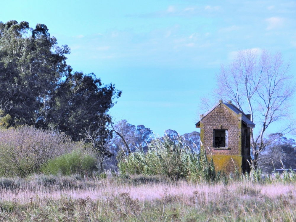 "La casa de las palomas" de Andrea Maria J Muttis