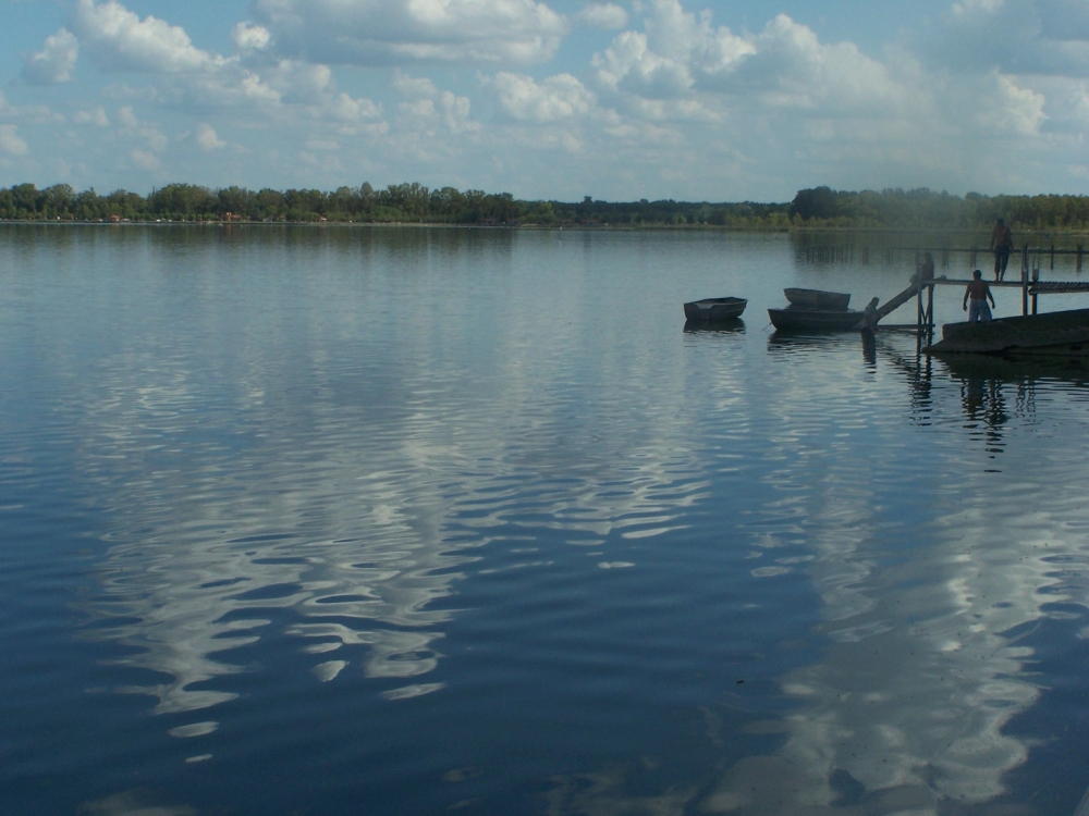 "Los reflejos en Lobos." de Jos Luis Mansur