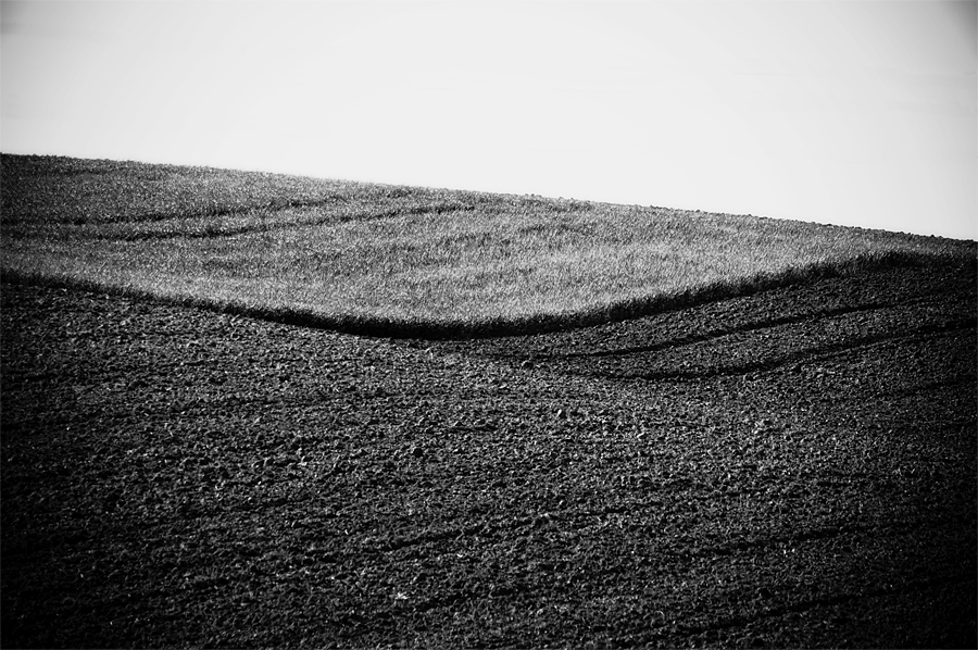 "Curve in the land" de Ariel Gonzalez