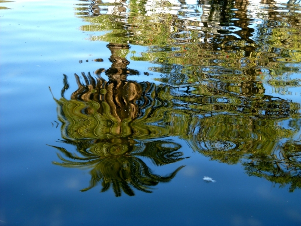 "Colores en el lago !!!" de Beatriz Benger