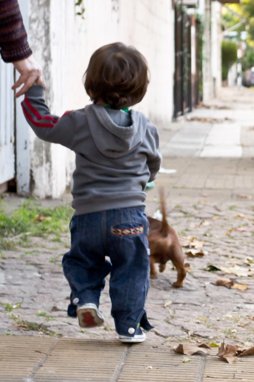 "Paseando a Vicente" de Flavio Scarpettini