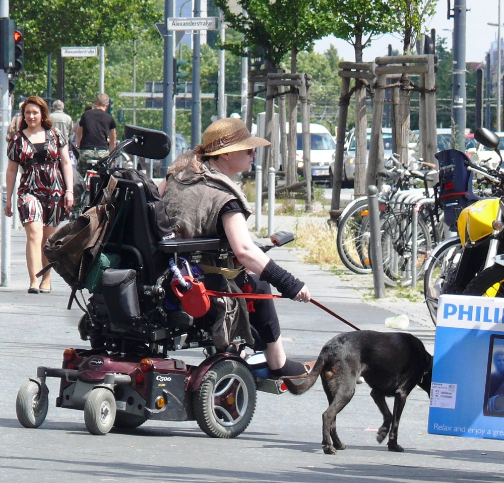 "Paseando al perro" de Luis Fernando Somma (fernando)