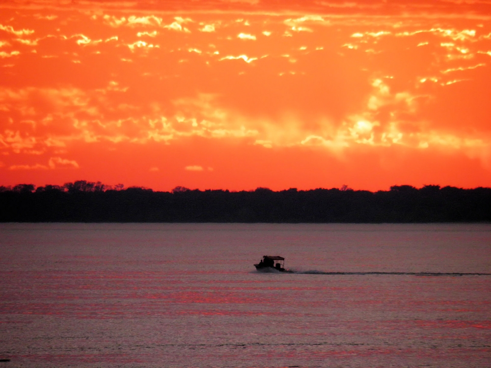 "Solo en Corrientes..." de Diego Cazorla Artieda