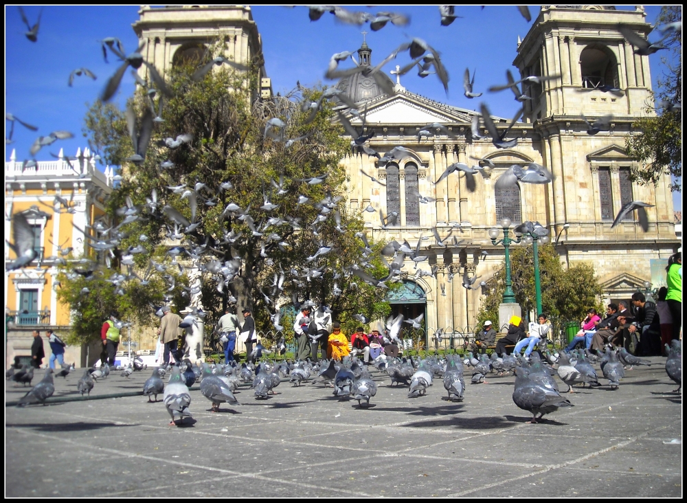 "Levantando vuelo" de Luis Fernando Altuzarra Bustillos