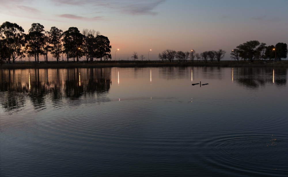 "Parque Delfin Perez IV" de Carlos Larandaburu