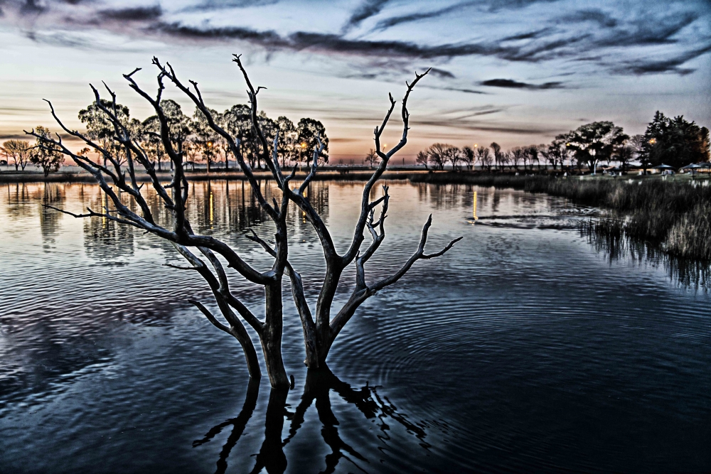 "Parque Delfin Perez HDR" de Carlos Larandaburu