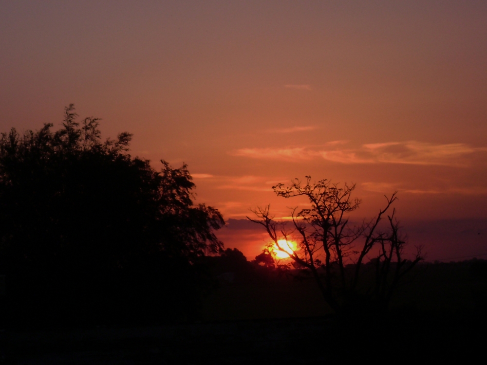 "Atardece dede mi ventana" de Andrea Maria J Muttis