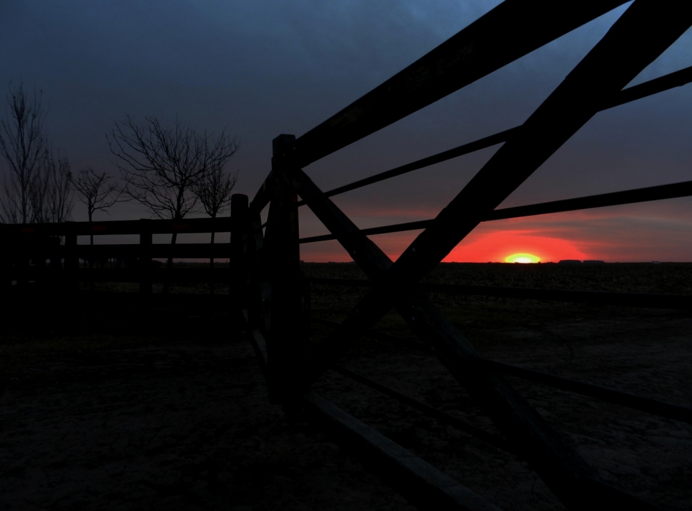 "Atarceder campestre" de Andrea Maria J Muttis