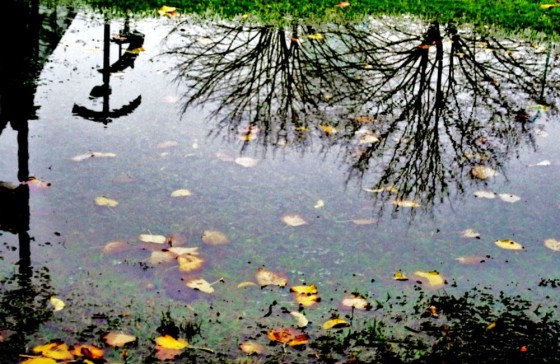 "Reflejos bajo la lluvia II" de Arturo H. Pea