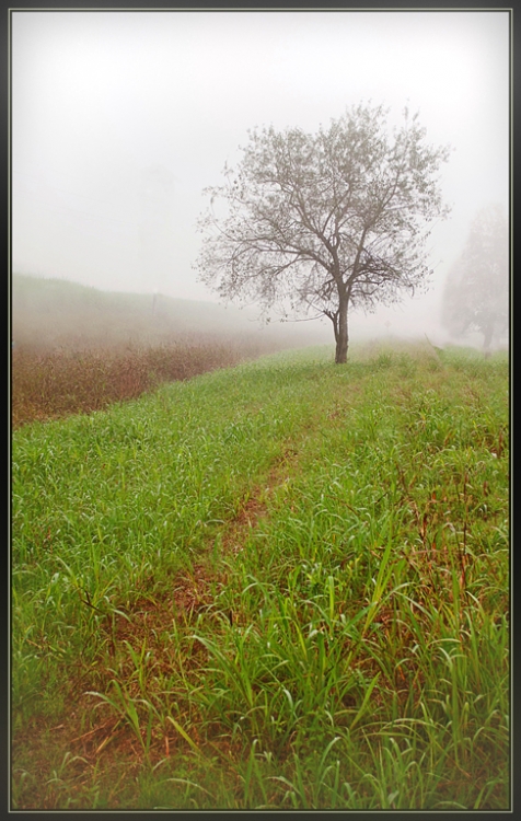 "La niebla y Yo" de Ruben Perea