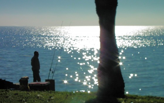 "pescador del alba" de Rosie Kolacek