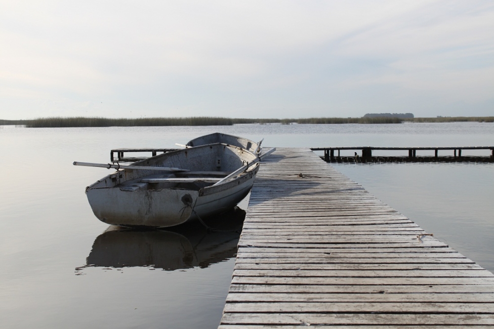 "Botes." de Roberto Velazquez