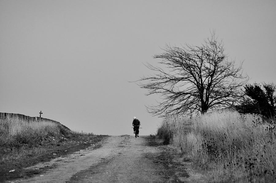 "El Camino De La Vida" de Cristian Mauro Arias