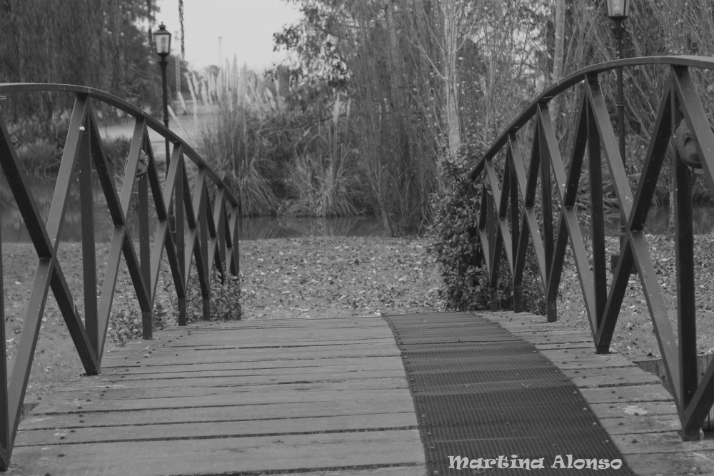 "puente" de Martina Alonso