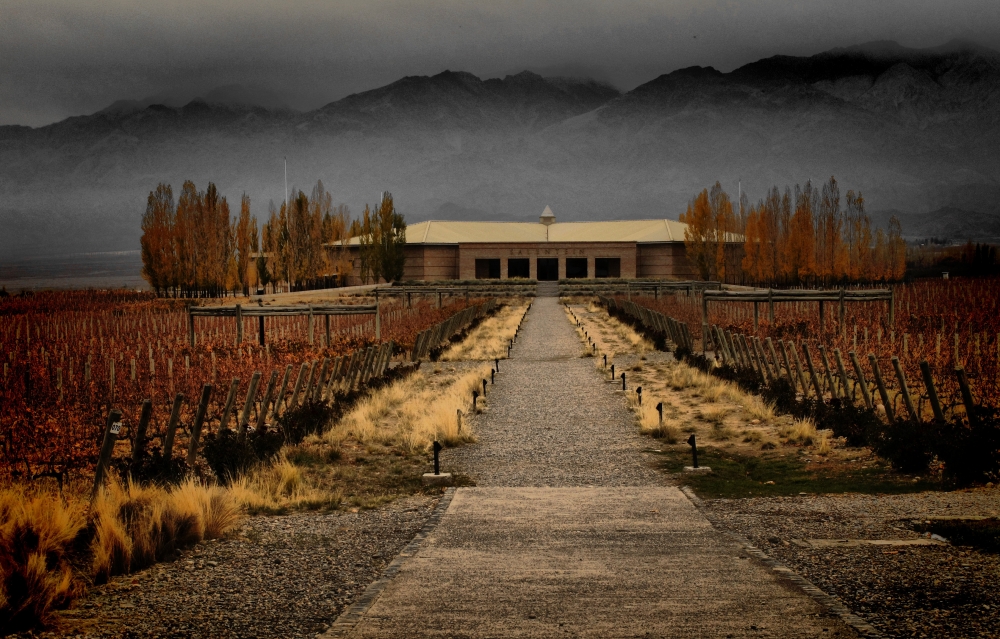 "Mendoza tierra de Bodegas y Viedos...." de Olga Romero