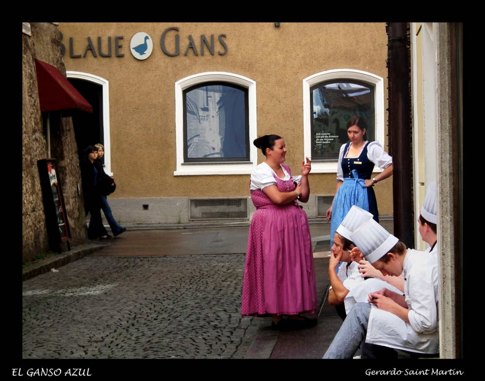 "El Ganso Azul" de Gerardo Saint Martn