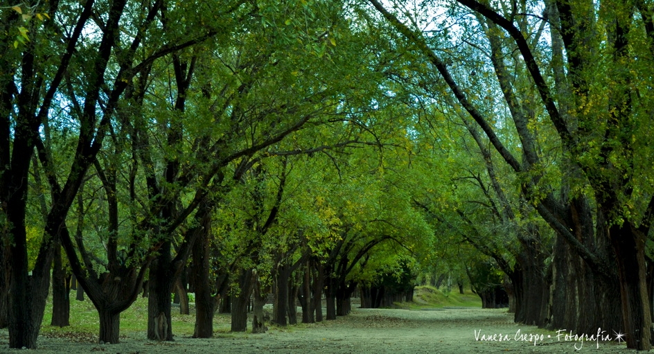 "Encanto de la Naturaleza" de Vanesa Crespo