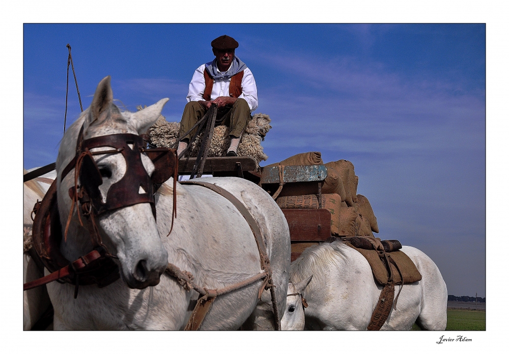 "Carro" de Javier Adam